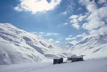 Alpine Snow Field